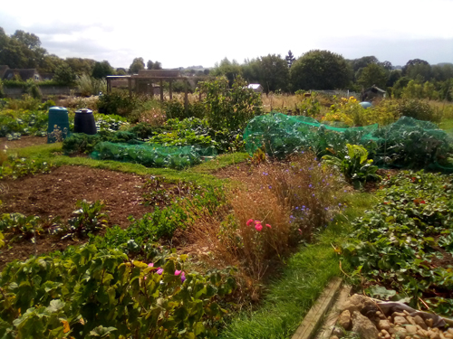 Milton  Allotments