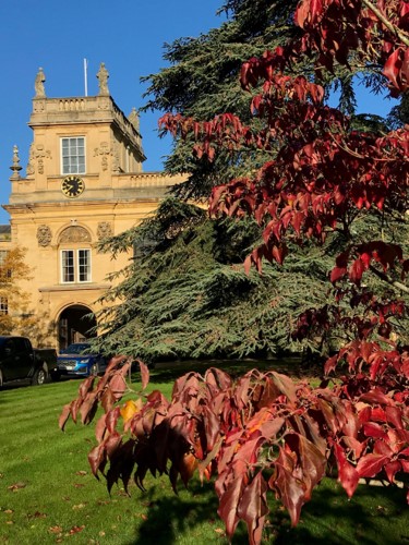 Plantings and Design at Trinity College Oxford